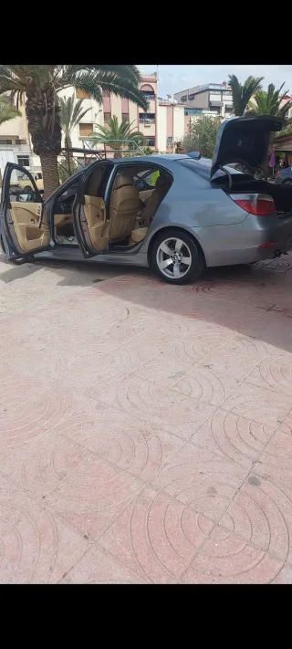 BMW Serie 5 Gris