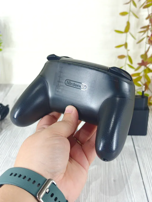 Mando Pro Nintendo Switch Negro