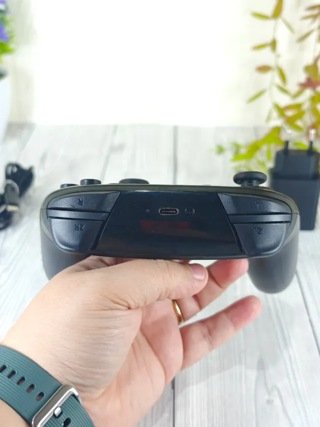 Mando Pro Nintendo Switch Negro