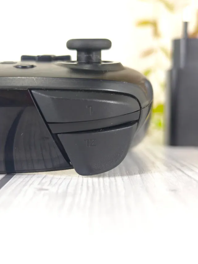 Mando Pro Nintendo Switch Negro