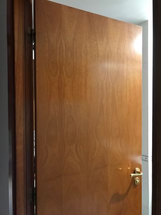 Puerta interior con manilla y cierre dorados