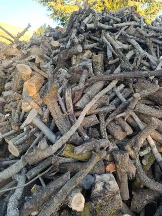 Legna per caminetto o barbecue a secco.