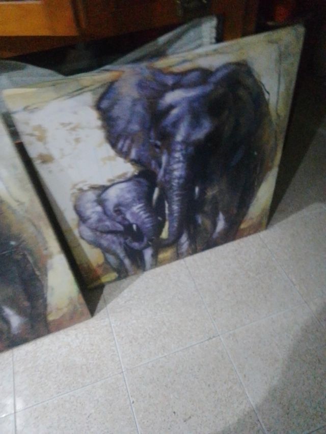 Cuadros de elefantes