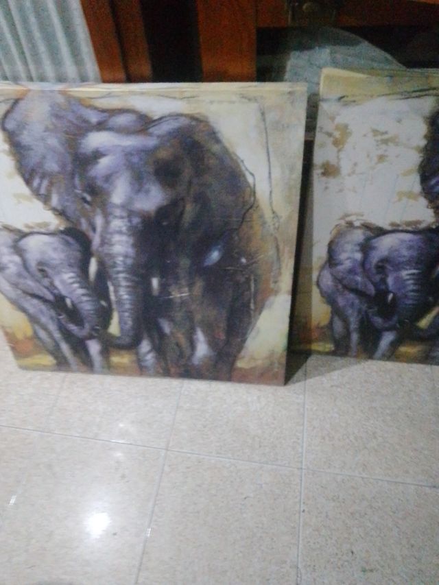 Cuadros de elefantes