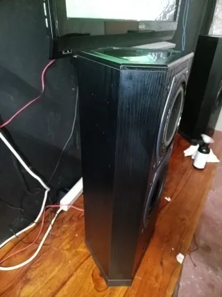 Altavoces Tannoy Negros