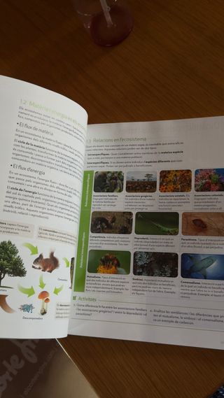 libro 1 eso de biología y geología en valenciano