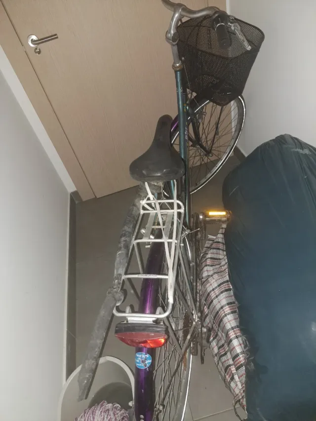 Bicicleta urbana con cesta