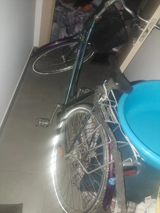 Bicicleta urbana con cesta