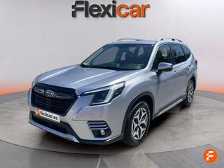 Subaru Forester 2.0i Hybrid CVT Executive Plus