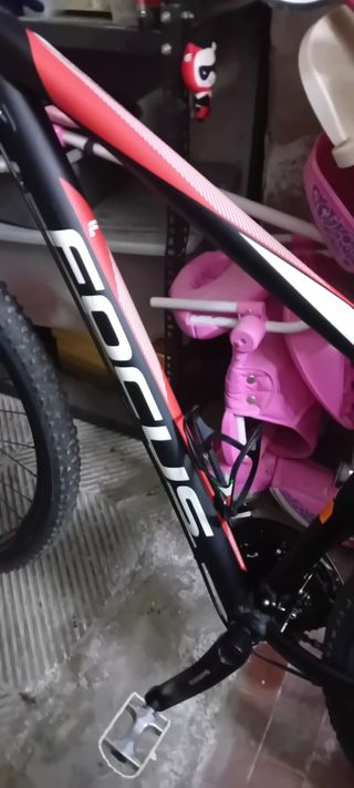MTB Focus Taglia M usata 1 anno