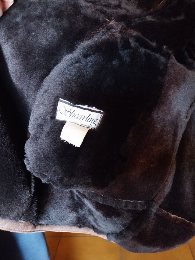 Montone con pelliccia marrone