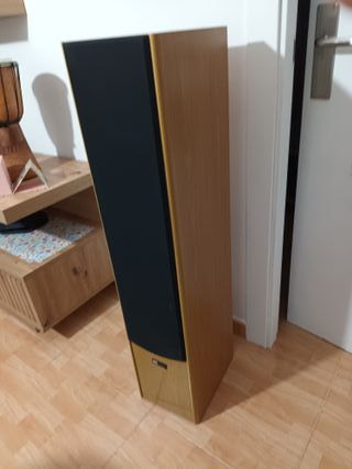 Altavoces Pure Acoustics Marrones
