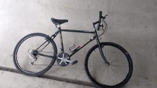 Bicicleta de montaña