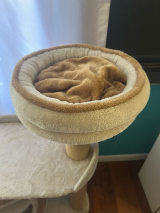 Tiragraffi Trixie Nuovo