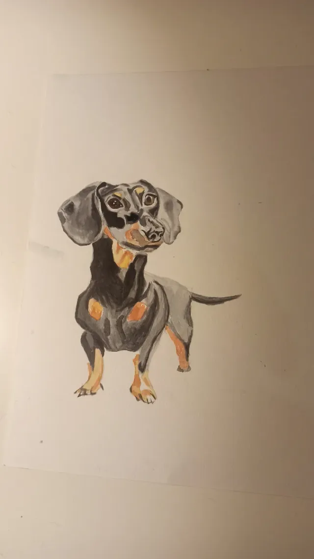 Acuarela original Teckel (Perro Salchicha)
