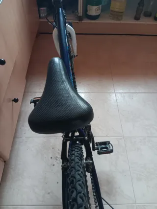 Bicicleta Montaña Azul