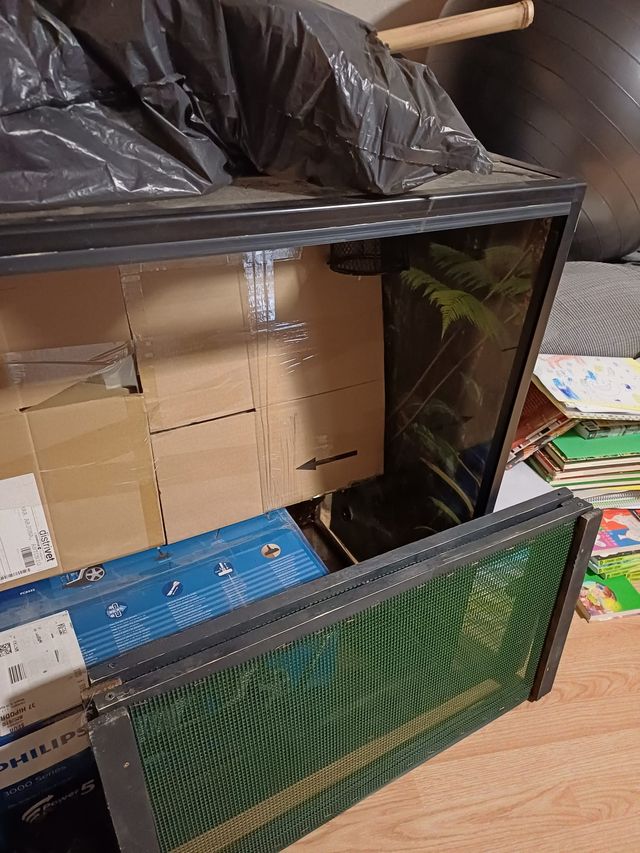 Terrario COMPLETO humedad y temperatura regulable