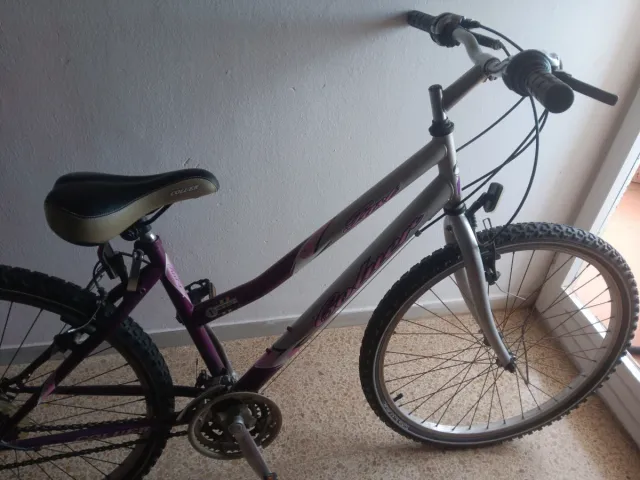 Bicicleta de montaña COLUER