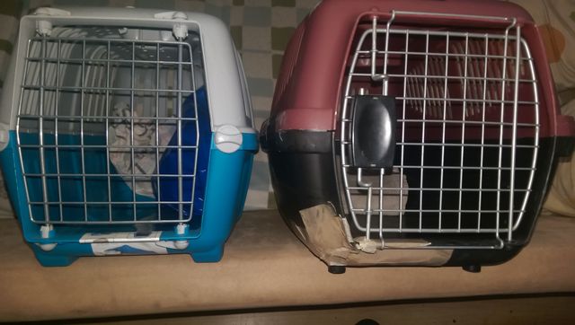 Transportines para mascotas (rojo y blanco)