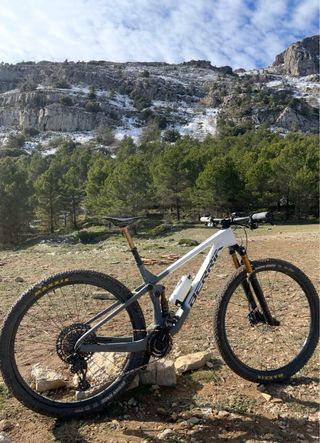 Cuadro Berria Mako 7.1 Carbono