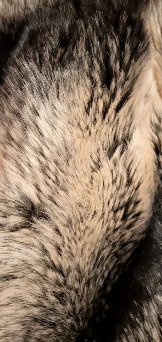 Cuello de pelo sintético Accessorize 