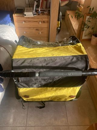 Carro Grande para Niños - Bici o Paseo