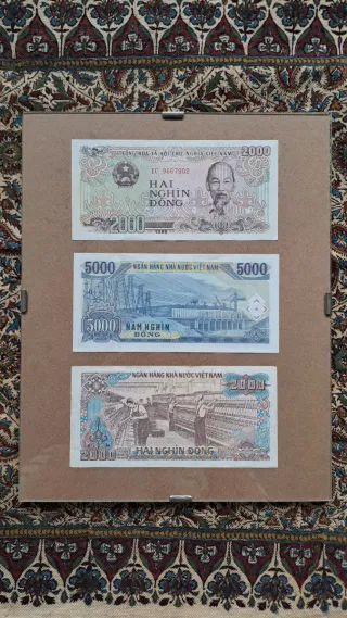 Lote de billetes de Vietnam