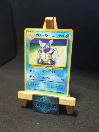 Carta Pokémon - Wartortle