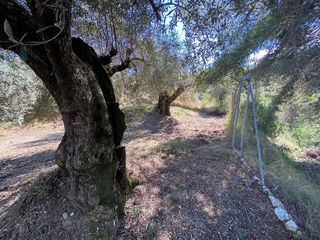 Terreno en venta en Moratalla