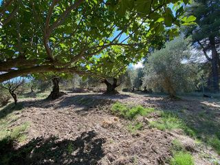 Terreno en venta en Moratalla