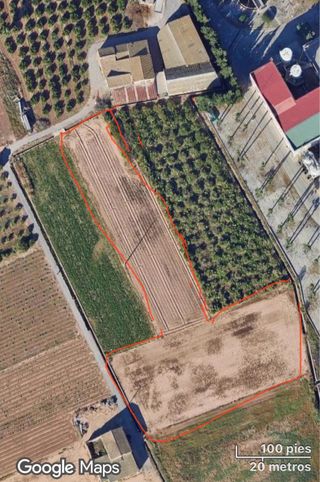 2 Campos Rústicos de Regadío