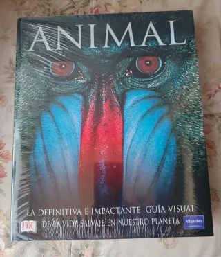 Animal, Patrimonio artístico UC, Camino Santiago