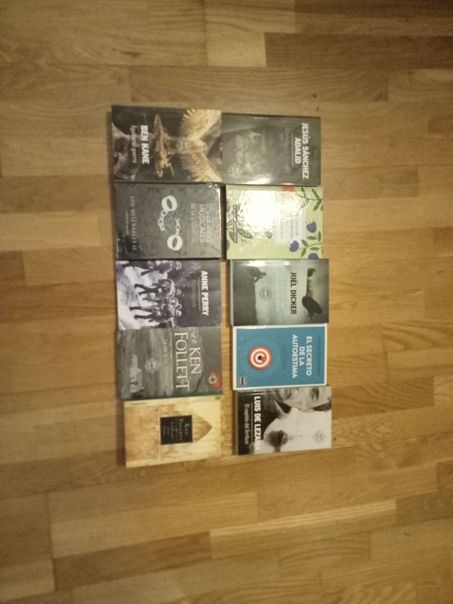 Lote de diez libros