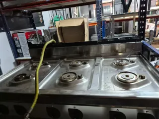 Cocina profesional 6 fuegos