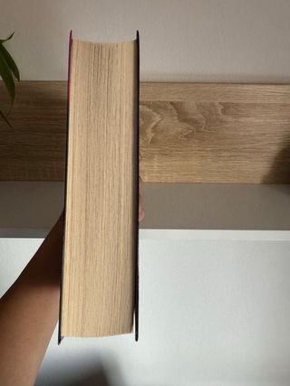 La historia de Lisey.