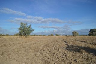 Terreno en venta en Alhendín