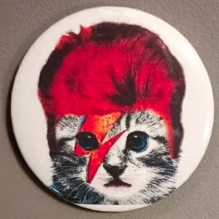 SPILLA GATTO BOWIE ZIGGY STARDUST