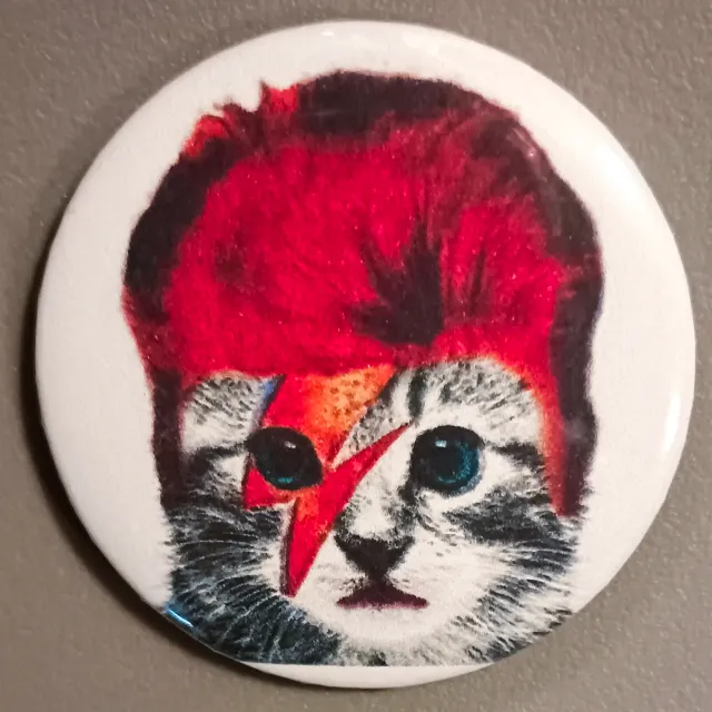 SPILLA GATTO BOWIE ZIGGY STARDUST