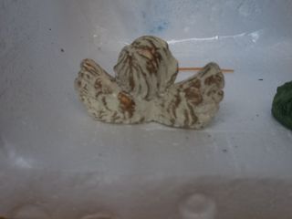 PASTORI PRESEPE RESINA