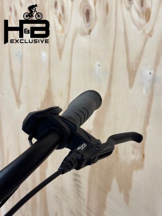 Pegasus Premio Evo 8R Shimano Nexus 2021