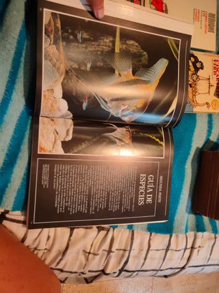 Guia práctica ilustrada de los peces de acuario