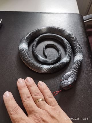 Serpiente y cocodrilo de plástico decorativa