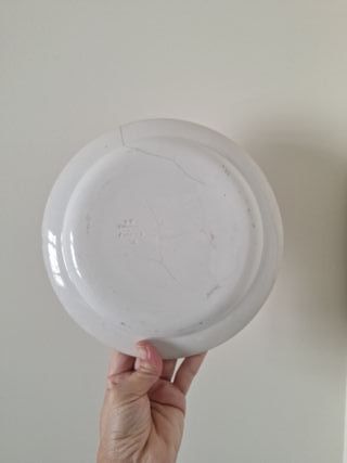 Plato Llano de Colección Pierre-Joseph Boch