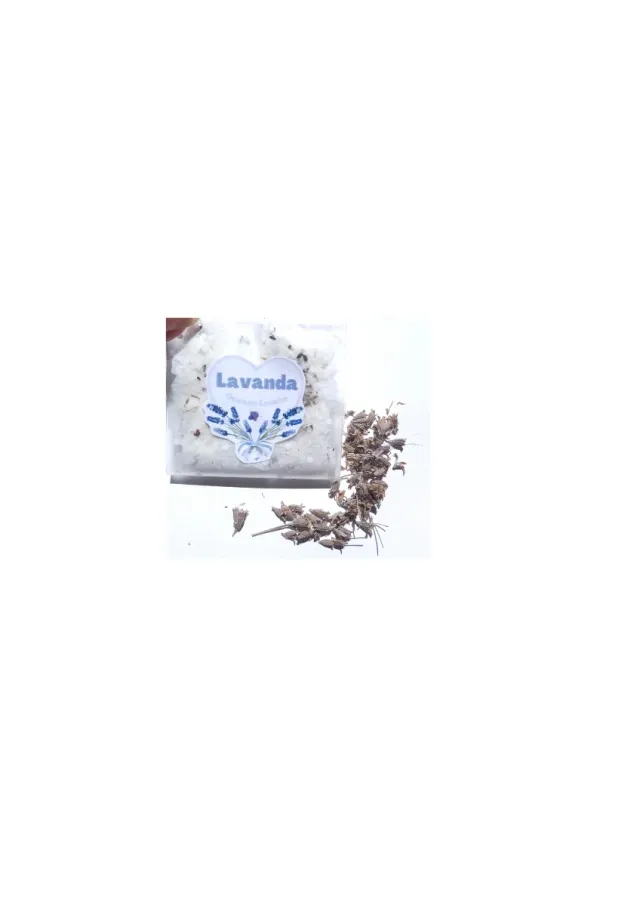 Semillas de Lavanda, lavanda aromática, plantas