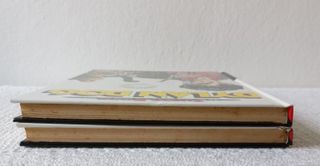 2 fumetti Dylan Dog Super Book