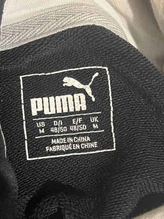 Sudadera Puma con Capucha Logo Grande 
