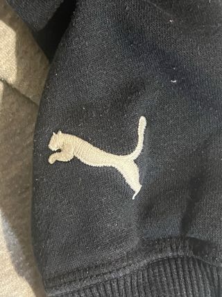 Sudadera Puma con Capucha Logo Grande 