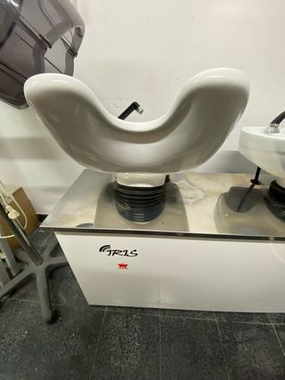 Lavacabezas Biplaza Blanco y Plateado