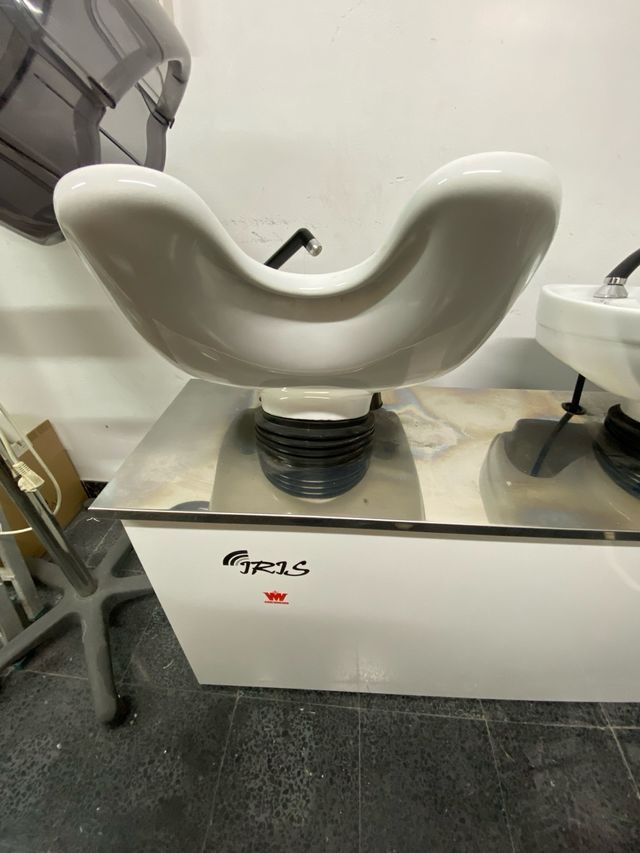 Lavacabezas Biplaza Blanco y Plateado