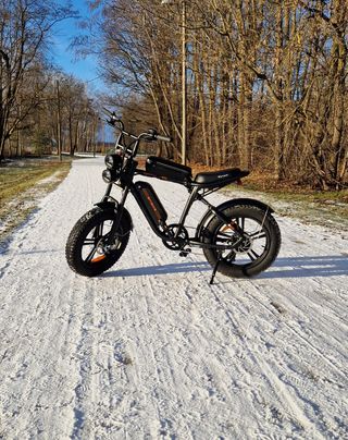 Bicicleta Eléctrica ENGWE Fat Bike Negra